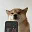 SELFIE图标